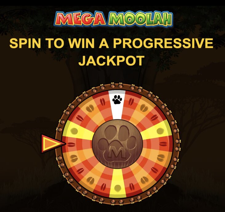 Bet99 Game Library: 500+ Slots & Casino Games