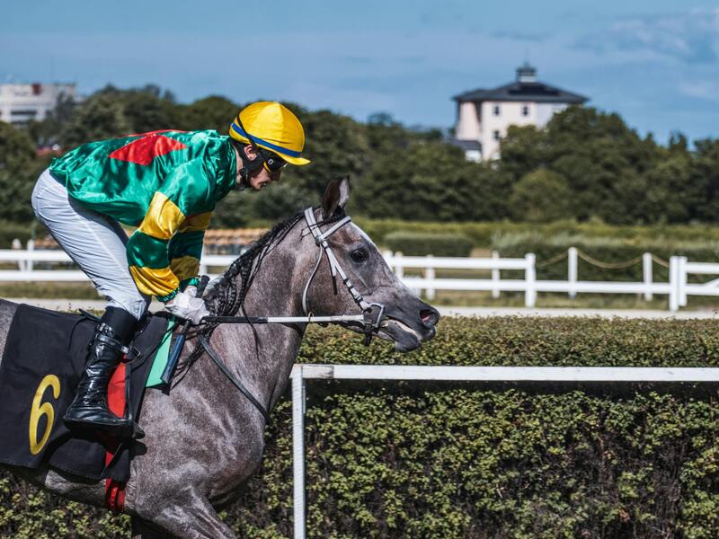 Bet99 User Experience Deep Dive